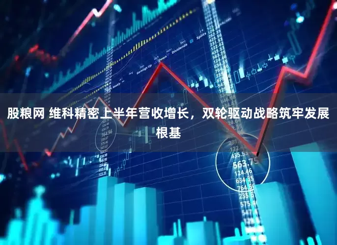 股粮网 维科精密上半年营收增长，双轮驱动战略筑牢发展根基